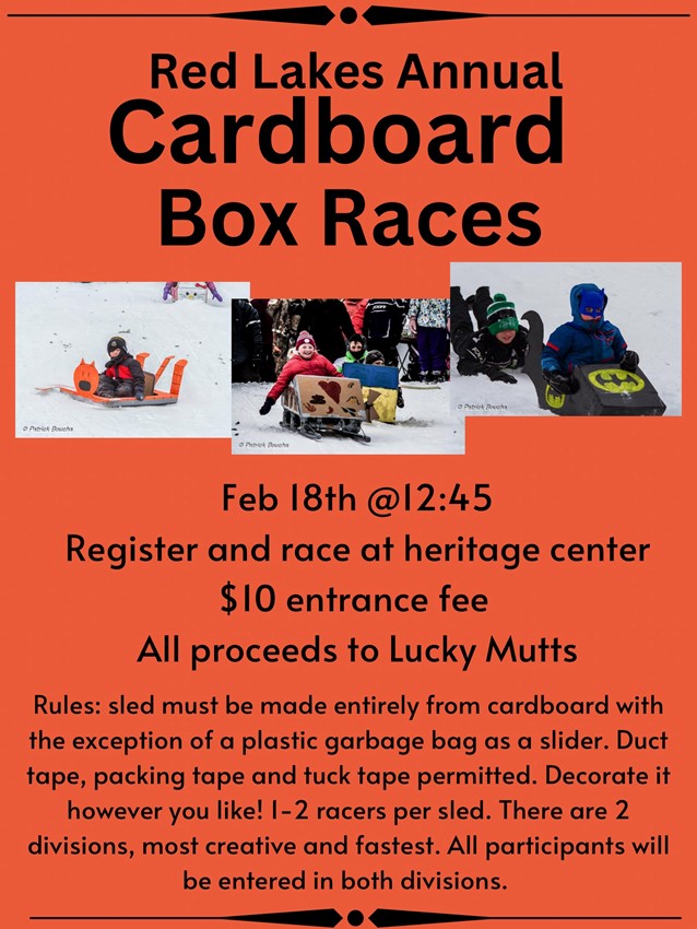 Cardboard Box Races